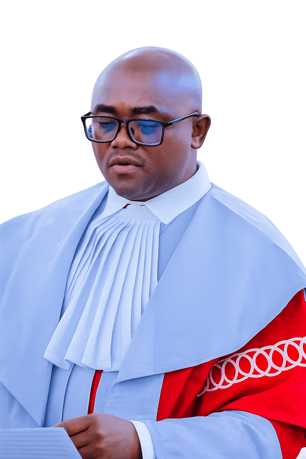 Adv. Prof. Ubena J. Agatho