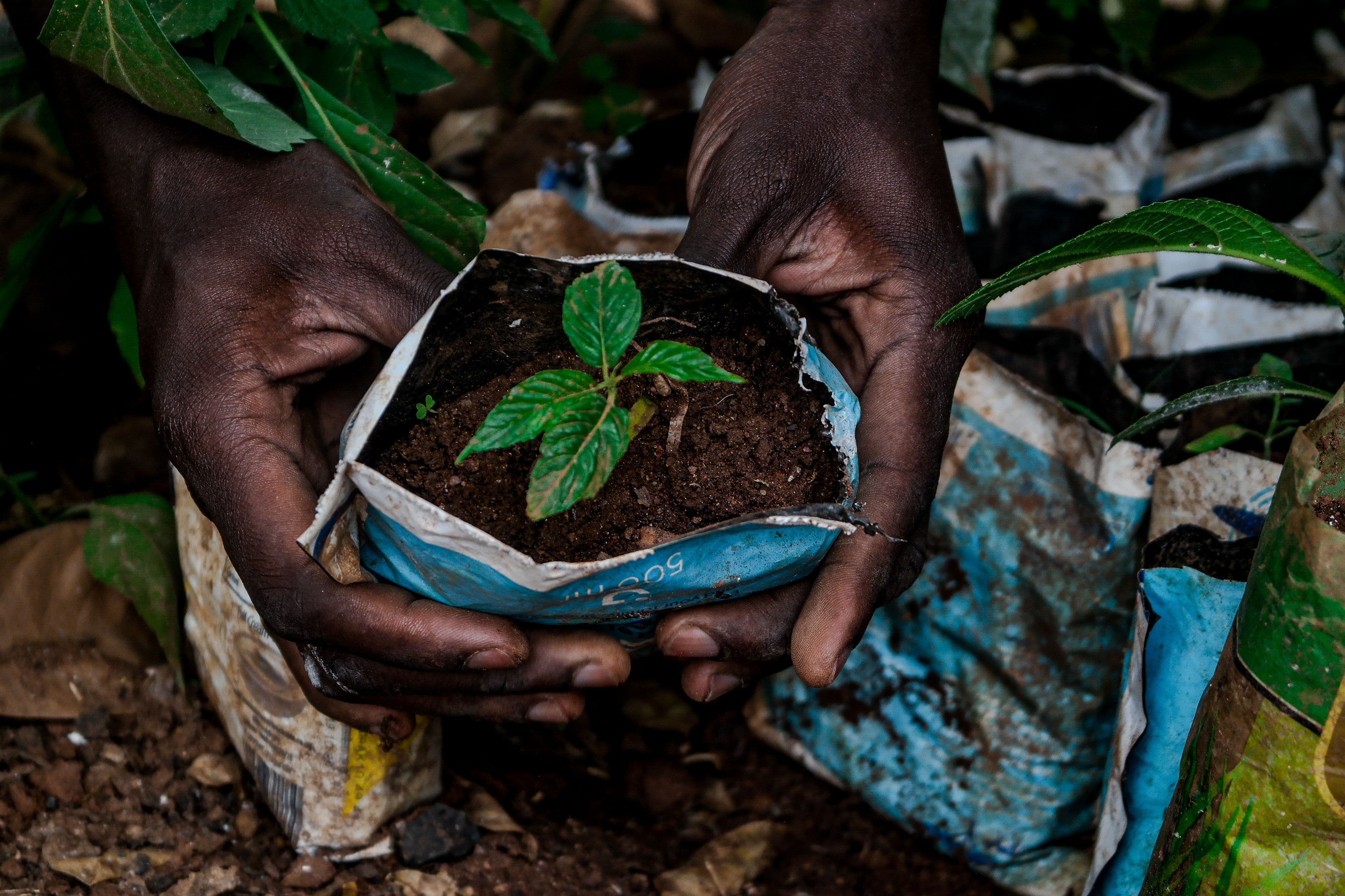 EcoAI-Powered Solutions for Environmental Equity in Tanzania